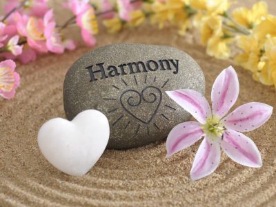 Business & Life Harmony Mastery